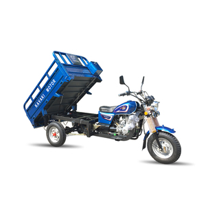 高速200ccエンジン中国カーゴモト三輪車大タンク容量大人用ガソリン電動三輪車 - Product Image 1