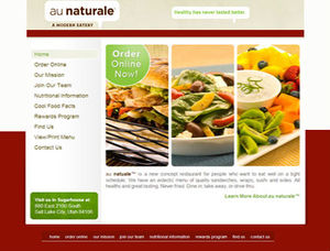CMS Website <strong>Design</strong> &amp; Web Development Mobile Responsive WordPress Web Designer &amp; Developer Theme and Template Builder <strong>Software</strong> - Product Image 2
