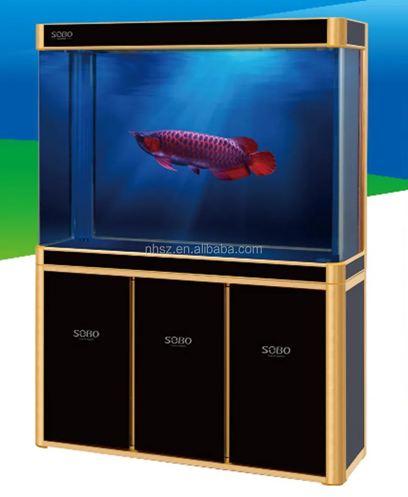 Réservoir d'aquarium de poisson en verre, équipement à la mode, avec éclairage LED pour ornement de poissons