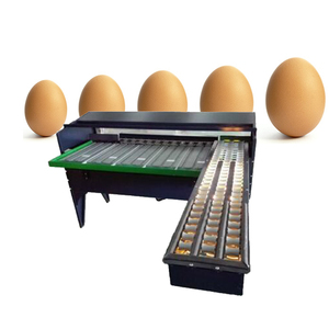 Industrie automatische egg grading maschine für verkauf