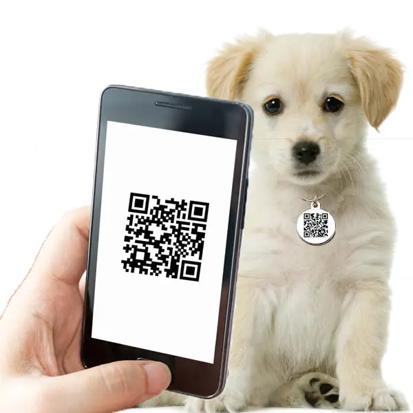 Etiquetas de metal para perros, identificación única o código qr