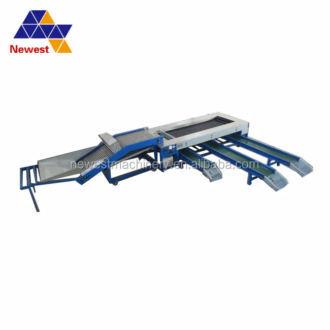 Chanh sorter rửa và máy tẩy lông/haw học sinh lớp sorter trái cây chế biến thiết bị