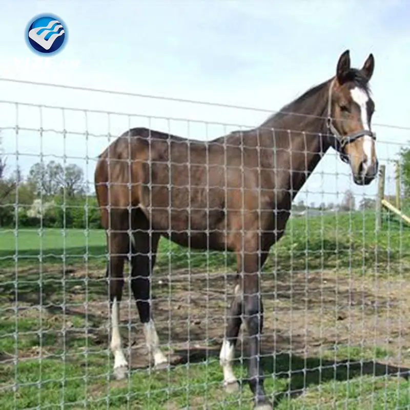 Long life hot dip galvanized fixed knot fence mesh/black coated steel wire mesh fence