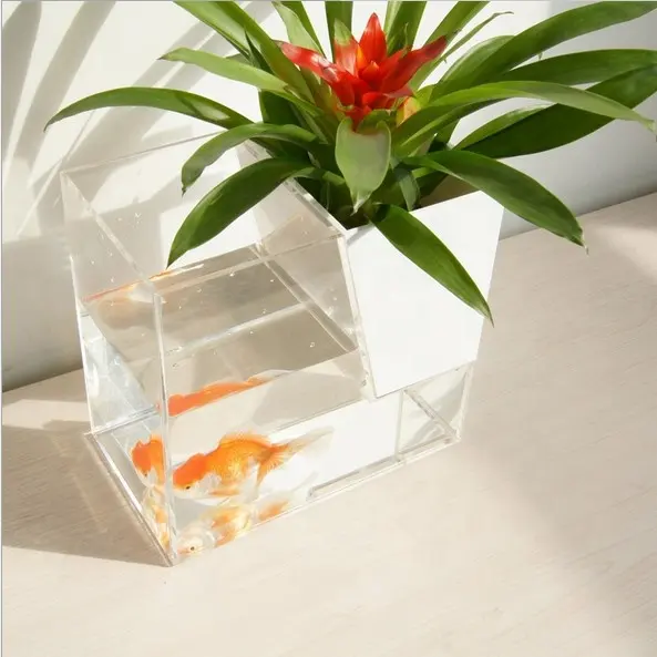 Acrílico de mesa pequeno tanque de peixes de aquário quadrado acrílico