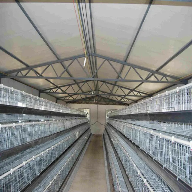 Cage de poulet facile à utiliser, résistance à la chaleur, facile à installer, avec piles