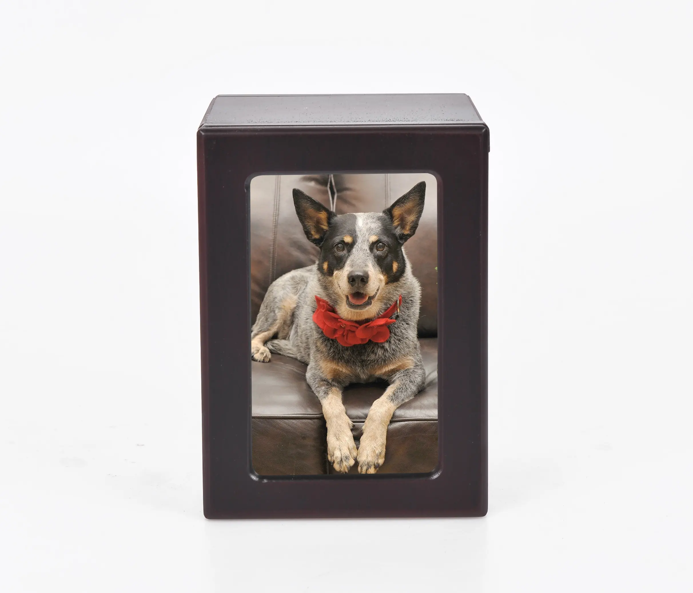 Foto mascota urna de cremación, urna de Mascota para perro