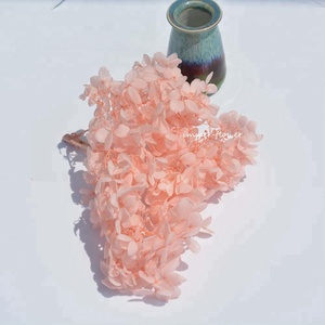 Good Quality Preserved Fresh <strong>Hydrangea</strong> for Weeding Flower - Product Image 5