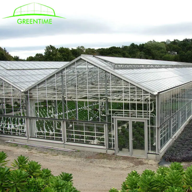 Fabricação vidro temperado material de cobertura usado equipamentos de casa verde