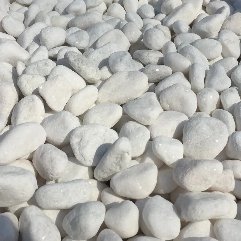 Landschapsarchitectuur Steen Getrommeld Witte Sneeuw Stone Pebbles