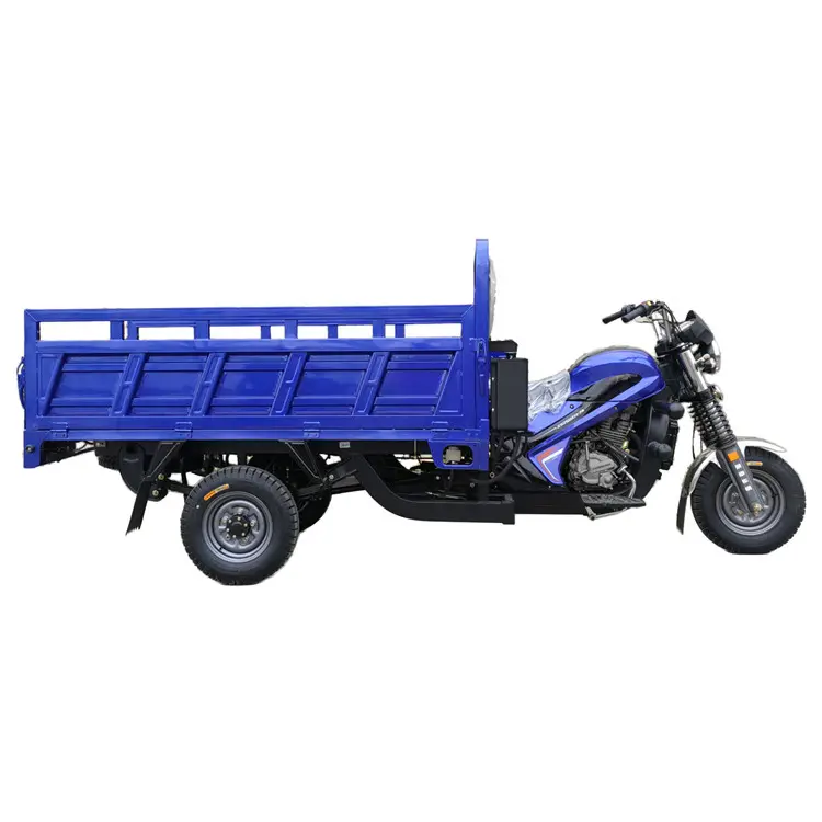 2019 China Factory Price Three Wheel Motorcycle For Farm Cargo Loading In Africa