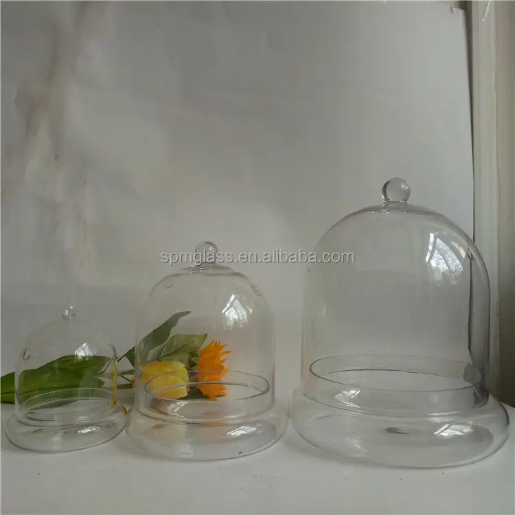 Trasparente campana vasetti di vetro all'ingrosso cupola con base/cupola di vetro cloches con base in vetro come pianta terrario
