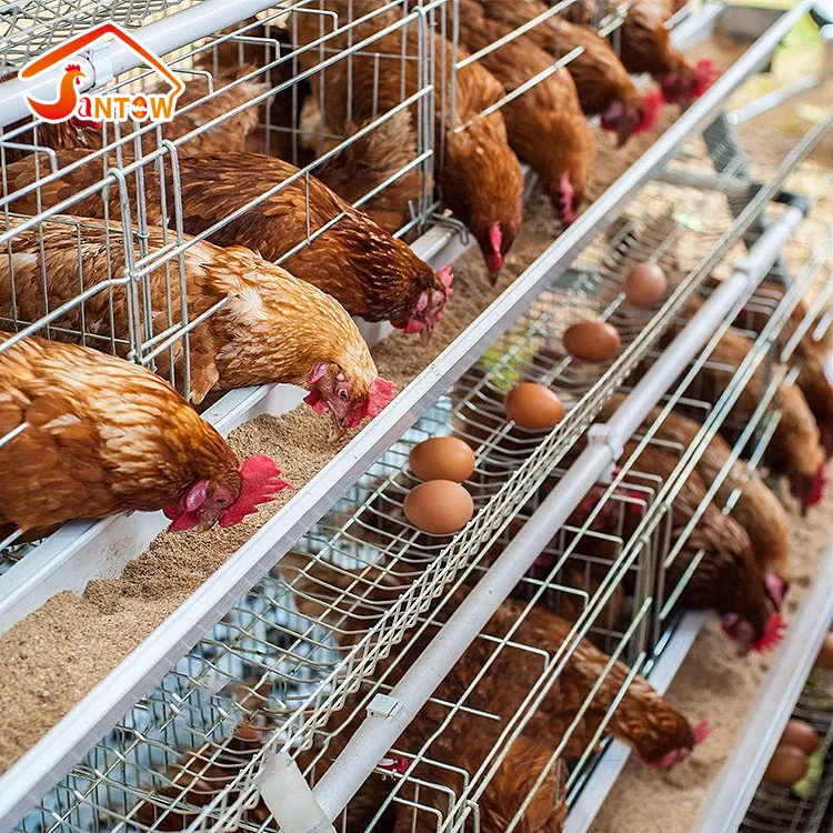 กรงสัตว์กรงไก่ไฟฟ้ากรงสัตว์ปีกกลางแจ้งที่ขายดีที่สุดสำหรับไก่ไข่
