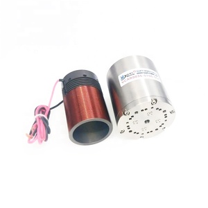 12 v 迷你直流电动执行器音圈电机