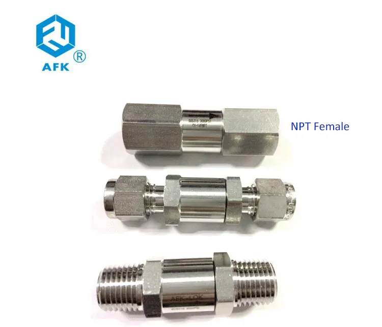 High Pressure 2way Stainless Steel 1/4 Inch Male Npt Check Valve and Female 3000PSI Gas Standard High Temperature NV General AFK