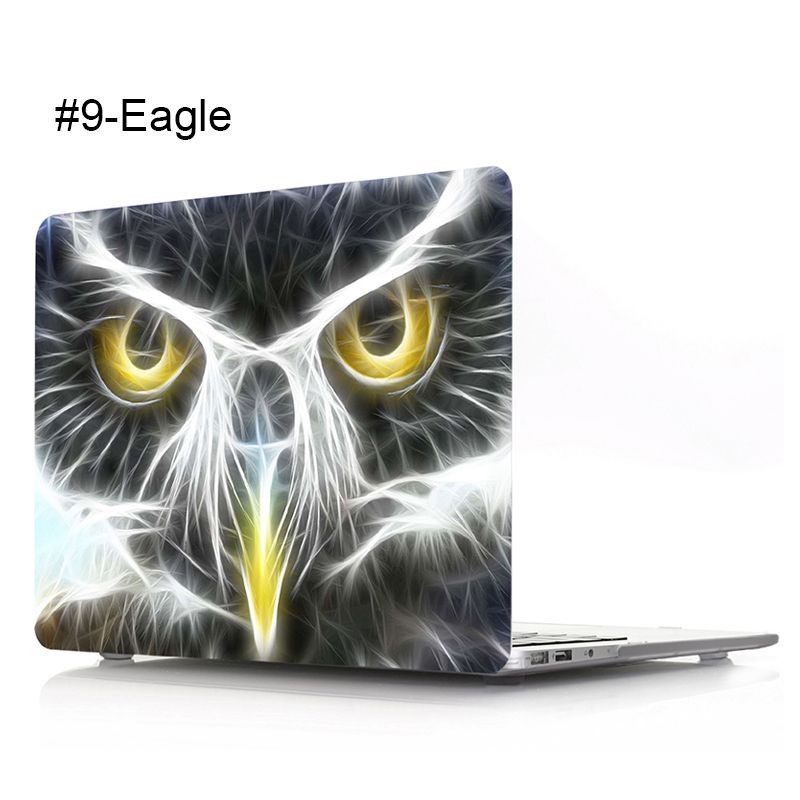 # 9-Aigle-Multicolore