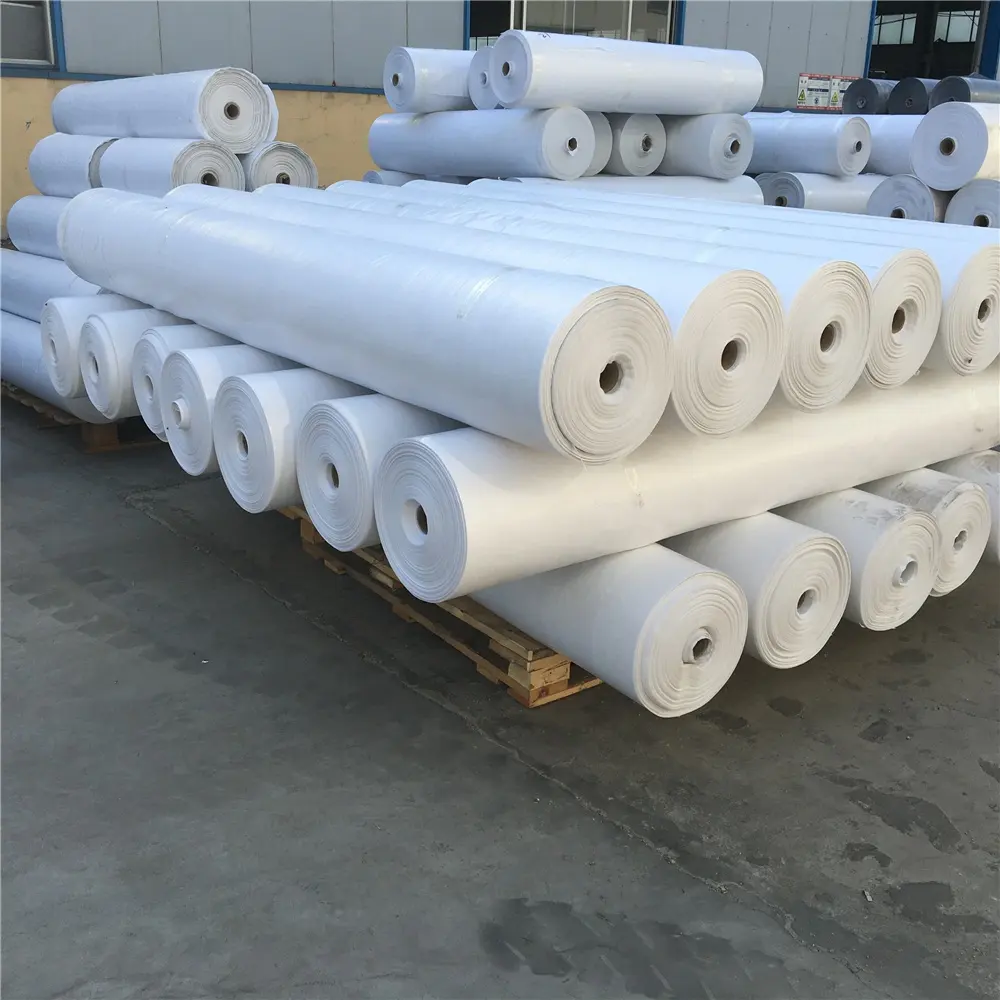 China Manufacturer All Kinds Waterproof Heavy Duty Tarp Canvas PE Tarpaulin Roll