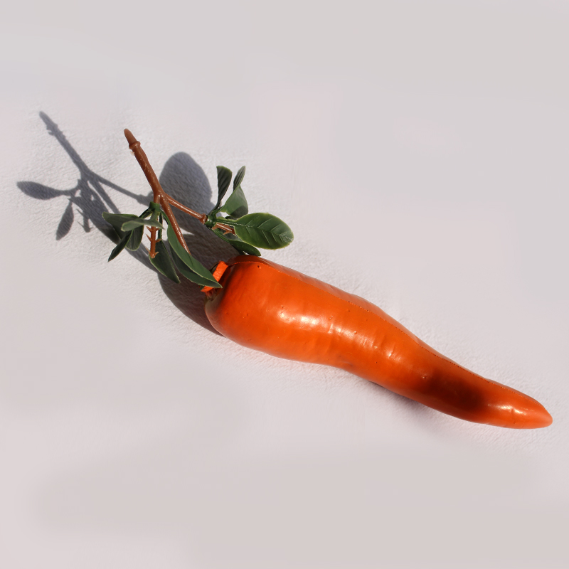 Zanahorias