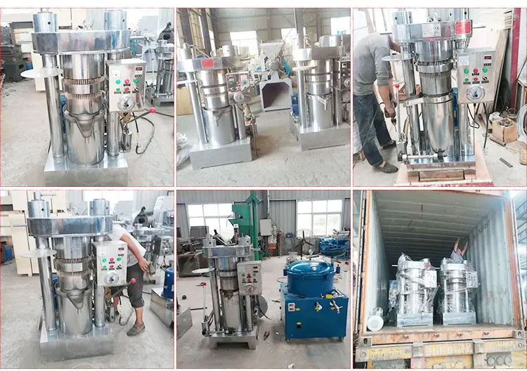 Olive Oil Machine Cold Press Used Olive Oil Extraction Press Equipment Automatic Sesame Oil Press Machine