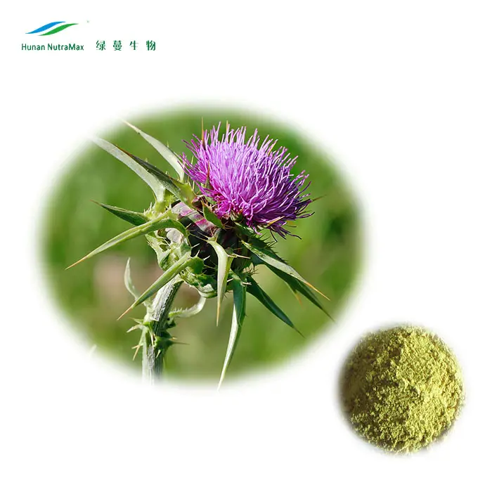 ผลิตภัณฑ์เสริมอาหารที่ละลายน้ำได้นม Thistle สารสกัดจาก40% Silymarin โดย UV-VIS