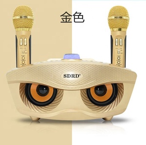 2019 中国工厂供应最新家庭 KTV 卡拉ok 音箱 BT 无线双麦克风 20 瓦 <span class=keywords><strong>DSP</strong></span> 扬声器
