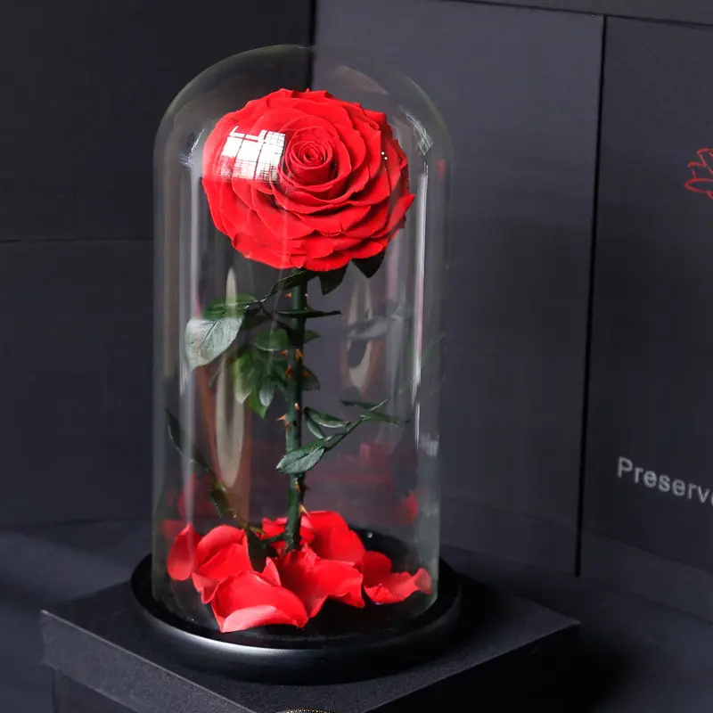 Preserved Rose In Glass Dome For Valentine's Day