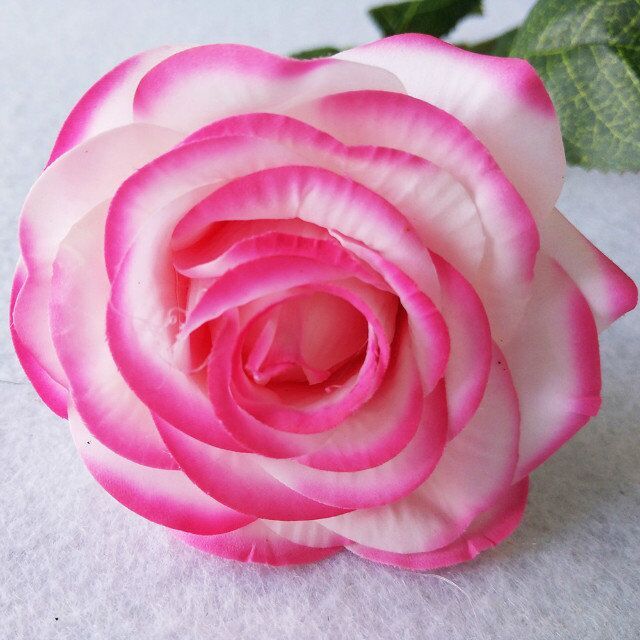 borde rosa