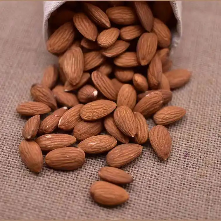 Free Sample Wholesale Almond Raw Almond Nuts