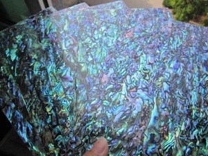 ลามิเนตเปลือก Paua นิวซีแลนด์,แผ่นหอยเป๋าฮื้อสำหรับทำเล็บ - Product Image 2