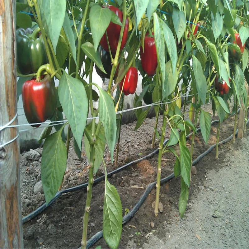 Pulverizadores de riego agrícola, sistema de riego por goteo de 1 unidad, bajo costo