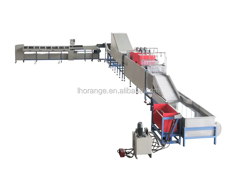 Gran oferta de calibración máquina de frutas y verduras máquina de clasificación de alto rendimiento con precio de fábrica Orangemech 3-5 T/8h