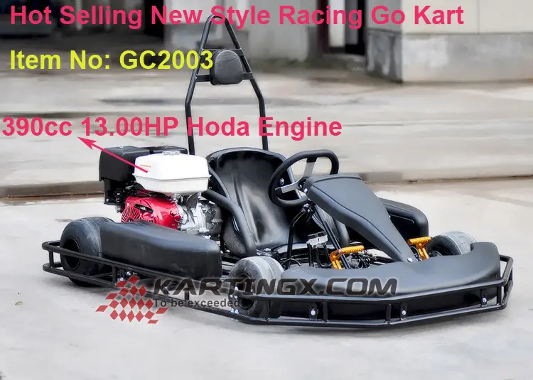250cc 20HP engine go kart racing with 4 speed gears & reverse gear
