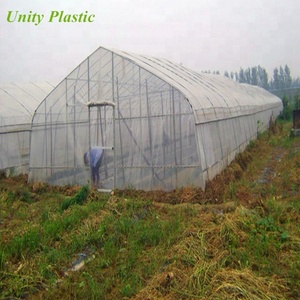 HDPE anti insecto red áfidos prueba de red de insectos Red de prueba de efecto invernadero - Product Image 2
