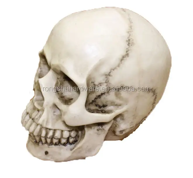 1/1 Stimulate skulls Factory Price Resin skull head for Halloween Decoration