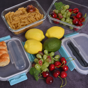 Glass Tiffin Bento Lunch Box Food Storage Meal <strong>Prep</strong> Container with Bag