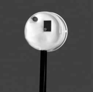 Taidacent RS485/NPN Salida Inteligente Alcohol Líquido Sensor de nivel de agua Sensor de nivel de líquido capacitivo sin contacto - Product Image 4
