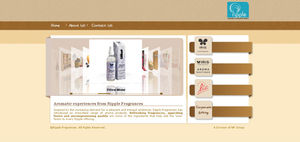 Responsive Static <strong>Website</strong> <strong>Design</strong> <strong>and</strong> <strong>Website</strong> Development HTML CSS Web <strong>Designer</strong> &amp; Developer WordPress Theme <strong>and</strong> Template Software