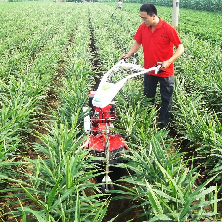 Luke 3tg agricultura agricultura motor diesel de energia elétrica mini jardim cultivador tiller rotativo preço para venda na índia