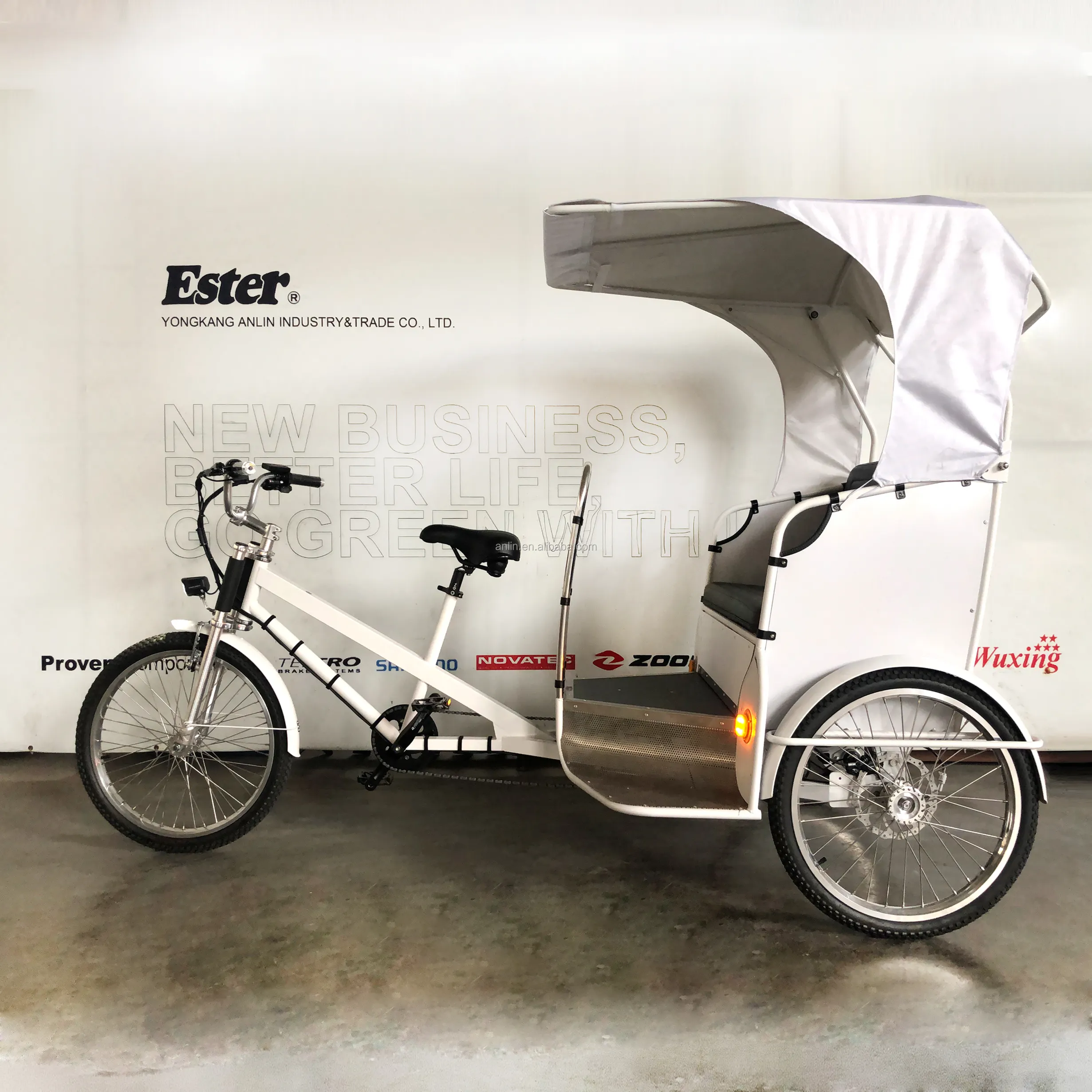 ESTER Green Taxi Pedicab Electric Rickshaw/Battery tricycle, more upgrade parts, high quality,customized