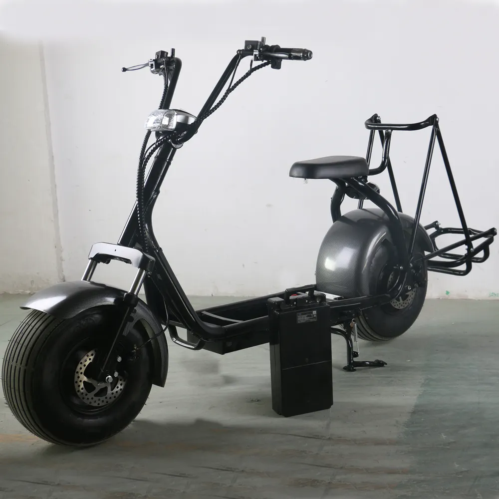 SC03 Golf Fabriek Citycoco Oplaadbare Lange Levensduur 2 Wiel Opstaan Elektrische Golfkar Scooter Met Elektrische Withce/rohs