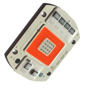 Yeni 2 renk AC220V sürücüsüz 50W cob led çip kırmızı ve mavi renk ile - Product Image 1