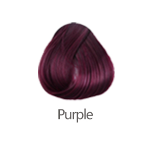 Pourpre