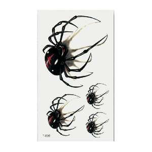 video poster