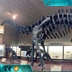 博物馆质量化石人造 T-rex 头骨复制品出售