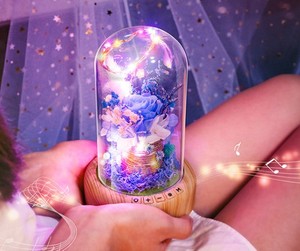 LED 许愿瓶灯灯无线扬声器永恒花玻璃梦想希望流瓶光夜灯