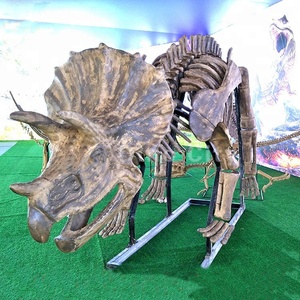 実際のサイズ恐竜スケルトンレプリカモデル
