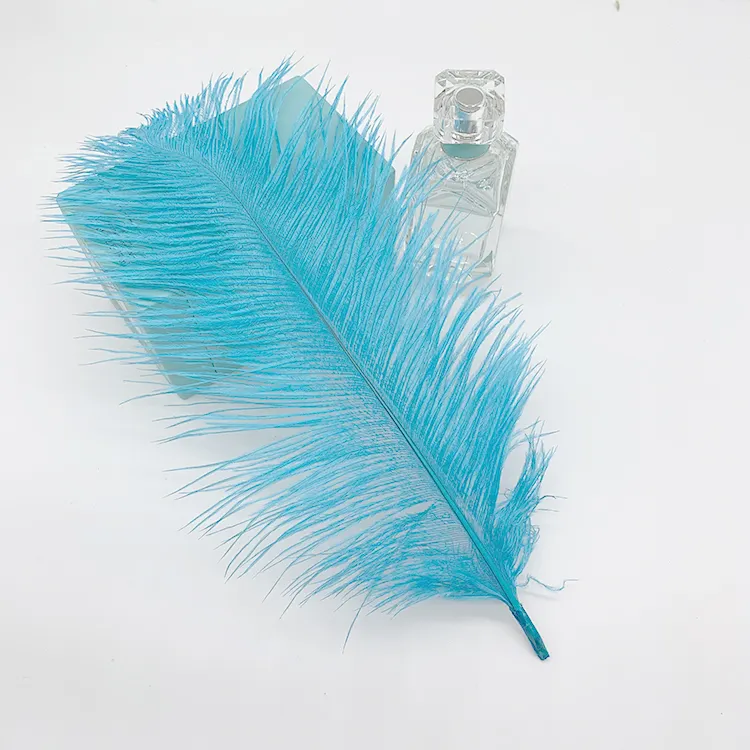 Promotion List Dyed Teal Baby Pink Natural Ostrich Feather Real Dark Green Ostrich Feather