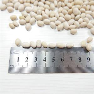 Số Lượng Lớn 25KG 50KG Túi Oragnic Khô Hình Dạng Dài Đậu Trắng Đậu Đen - Product Image 1