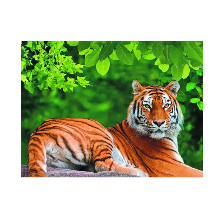 Explore o efeito 3d da animação dormir tigre imagem