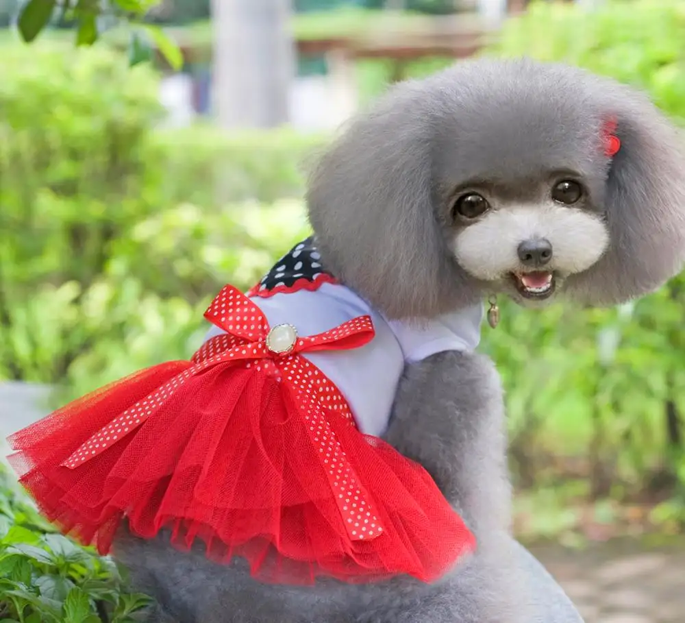 Nova alta qualidade baixo preço verão dongguan roxo cão vestido com padrão do coração