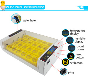 Incubadora de huevos HHD 98%, alta tasa de eclosión, 24 YZ-24A, automática, para aves de corral - Product Image 4